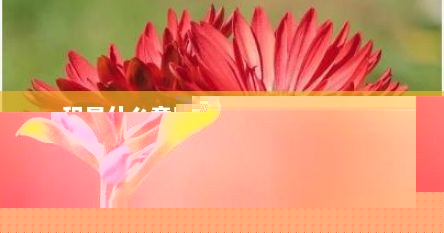 积是什么意思（积淀是什么意思）