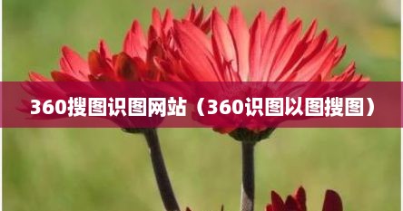 360搜图识图网站（360识图以图搜图）