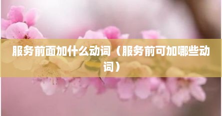 服务前面加什么动词（服务前可加哪些动词）