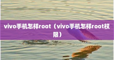 vivo手机怎样root（vivo手机怎样root权限）