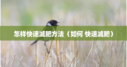 怎样快速减肥方法（如何 快速减肥）