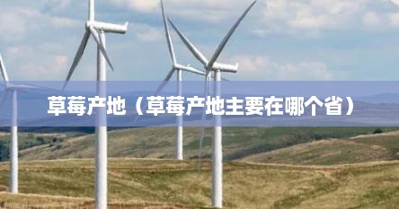 草莓产地主要分布地区(草莓产地主要在哪个省) 草莓产地主要分布地区(草莓产地主要在哪个省)