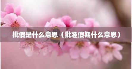 批假是什么意思（批准假期什么意思）