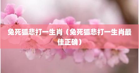 兔死狐悲打一生肖（兔死狐悲打一生肖最佳正确）