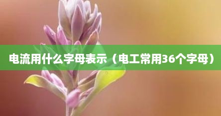 电流用什么字母表示（电工常用36个字母）