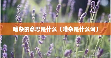 嘈杂的意思是什么（嘈杂是什么词）