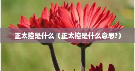 正太控是什么（正太控是什么意思?）