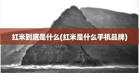 红米到底是什么(红米是什么手机品牌)