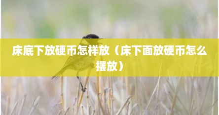 床底下放硬币怎样放（床下面放硬币怎么摆放）