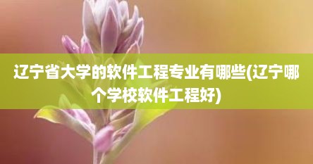 辽宁省大学的软件工程专业有哪些(辽宁哪个学校软件工程好)