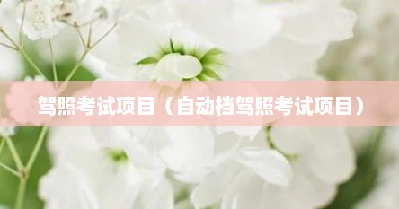 驾照考试项目（自动档驾照考试项目）