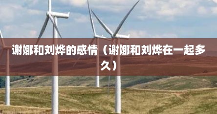 谢娜和刘烨的感情（谢娜和刘烨在一起多久）