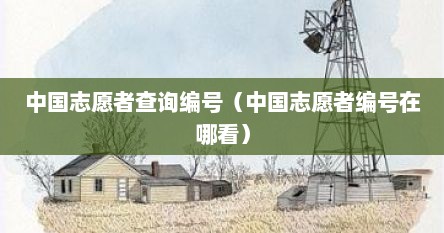 中国志愿者查询编号（中国志愿者编号在哪看）