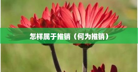 怎样属于推销（何为推销）
