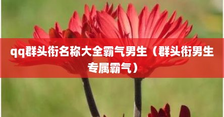qq群头衔名称大全霸气男生（群头衔男生专属霸气）