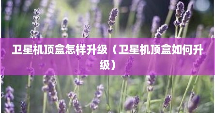卫星机顶盒怎样升级（卫星机顶盒如何升级）