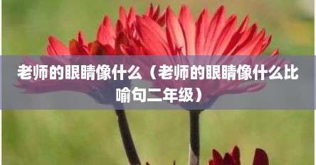 老师的眼睛像什么（老师的眼睛像什么比喻句二年级）