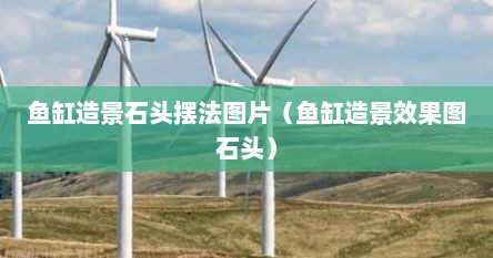 鱼缸造景石头摆法图片（鱼缸造景效果图石头）