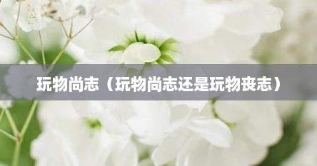 玩物尚志（玩物尚志还是玩物丧志）