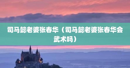 司马懿老婆张春华（司马懿老婆张春华会武术吗）