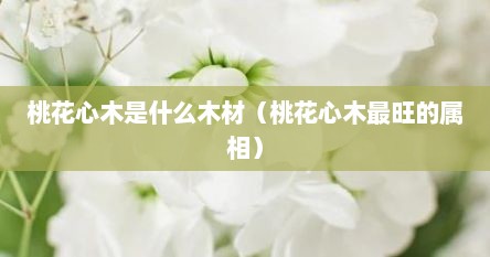 桃花心木是什么木材（桃花心木最旺的属相）