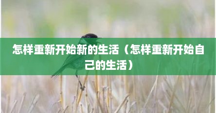 怎样重新开始新的生活（怎样重新开始自己的生活）