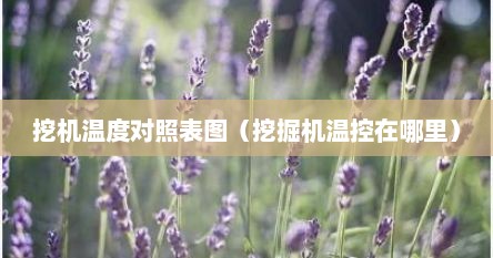 挖机温度对照表图（挖掘机温控在哪里）