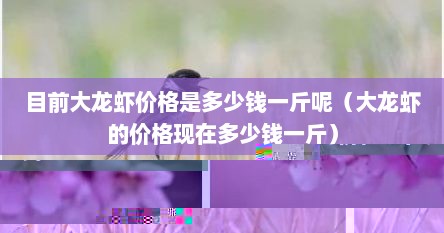 目前大龙虾价格是多少钱一斤呢（大龙虾的价格现在多少钱一斤）