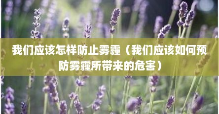 我们应该怎样防止雾霾（我们应该如何预防雾霾所带来的危害）