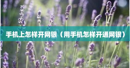 手机上怎样开网银（用手机怎样开通网银）