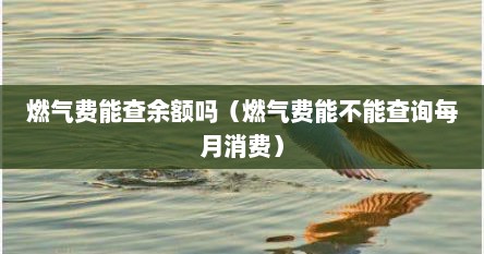 新奥怎么查询燃气费余额（燃气能否查询余额还剩多少钱了）
