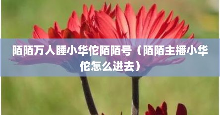 陌陌万人睡小华佗陌陌号（陌陌主播小华佗怎么进去）