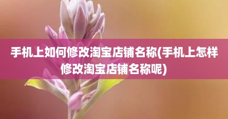 手机上如何修改淘宝店铺名称(手机上怎样修改淘宝店铺名称呢)