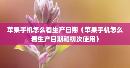 苹果手机怎么看生产日期（苹果手机怎么看生产日期和初次使用）