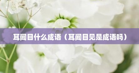 耳闻目什么成语（耳闻目见是成语吗）