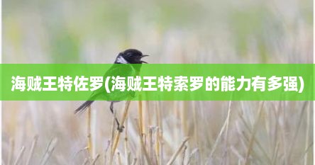 海贼王特佐罗(海贼王特索罗的能力有多强)