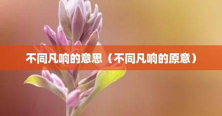 不同凡响的意思（不同凡响的原意）