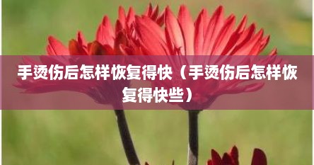 手烫伤后怎样恢复得快（手烫伤后怎样恢复得快些）