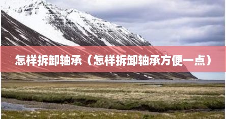 怎样拆卸轴承（怎样拆卸轴承方便一点）