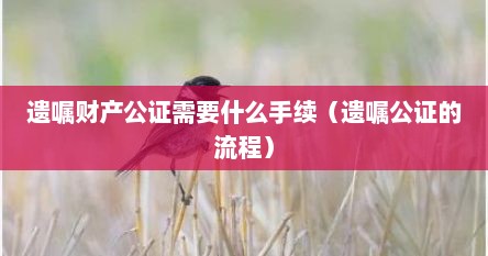 遗嘱财产公证需要什么手续（遗嘱公证的流程）
