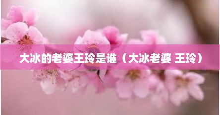 大冰的老婆王玲是谁（大冰老婆 王玲）