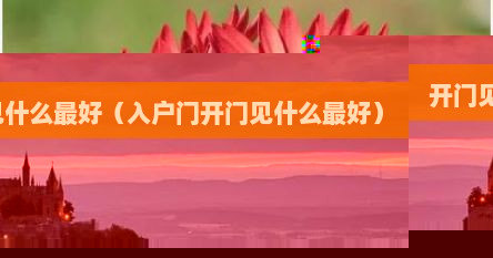 开门见什么最好（入户门开门见什么最好）
