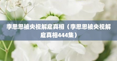 李思思被央视解雇真相（李思思被央视解雇真相444集）