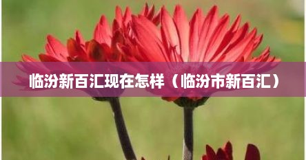 临汾新百汇现在怎样（临汾市新百汇）