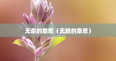 无奈的意思（无赖的意思）
