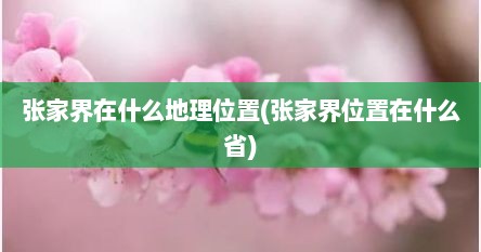 张家界在什么地理位置(张家界位置在什么省)