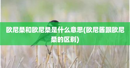 欧尼桑和欧尼桑是什么意思(欧尼酱跟欧尼桑的区别)