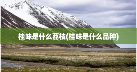 桂味是什么荔枝(桂味是什么品种)
