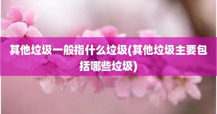 其他垃圾一般指什么垃圾(其他垃圾主要包括哪些垃圾)