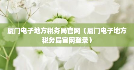 厦门电子地方税务局官网（厦门电子地方税务局官网登录）
